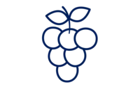 48.png