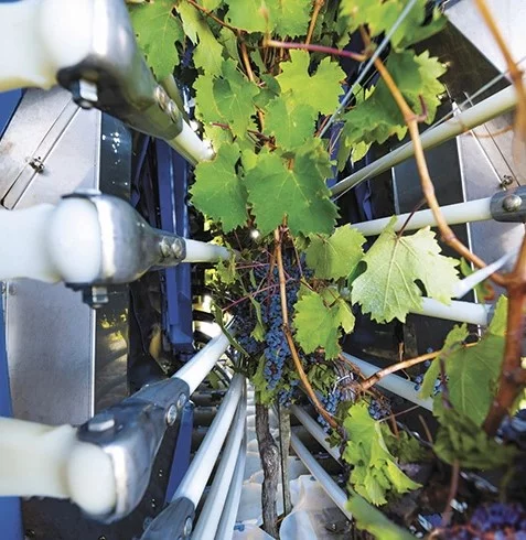 braud-high-capacity-harvesting-head-01.jpg