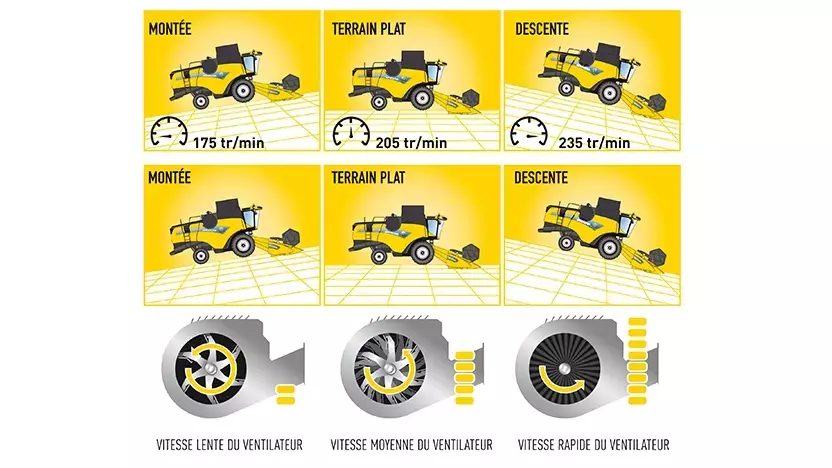 cx5-cx6-tier-4b-great-harvest-quality.webp