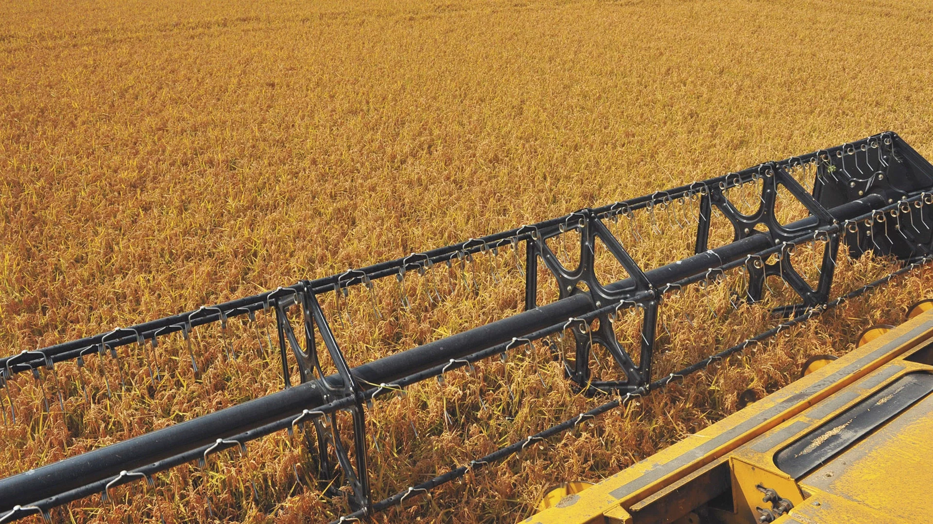 high-capacity-grain-headers-gallery-04.webp