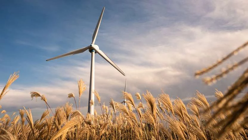 our-way-to-sustainability-reman.jpg