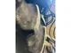 Tracteur fruitier New Holland T4.90F CAB